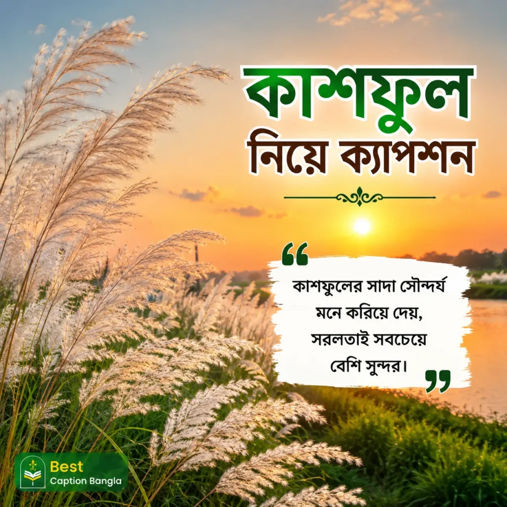 কাশফুল নিয়ে ক্যাপশন