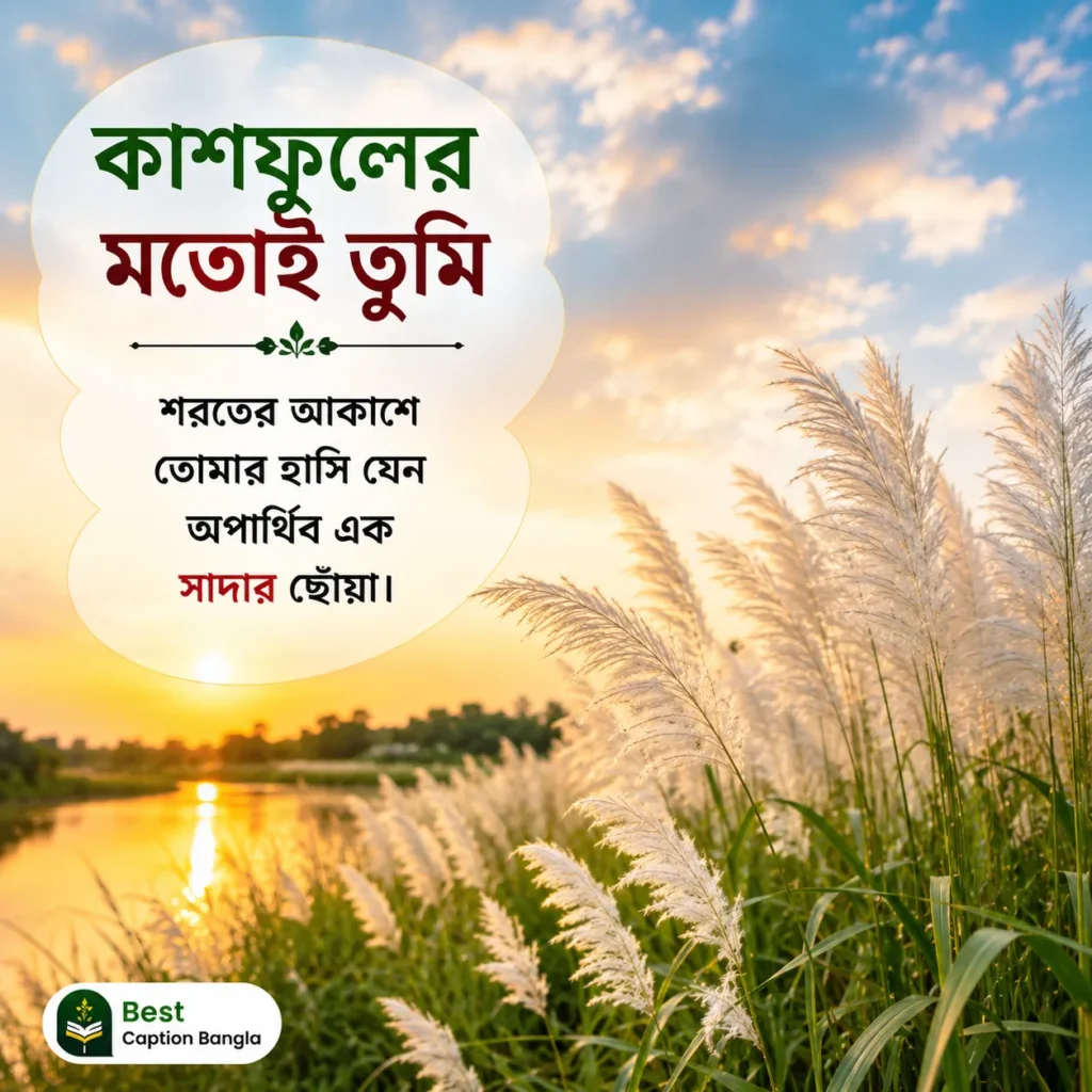 কাশফুল নিয়ে ক্যাপশন