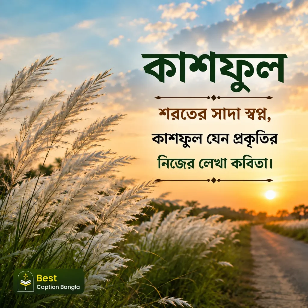 কাশফুল নিয়ে ক্যাপশন