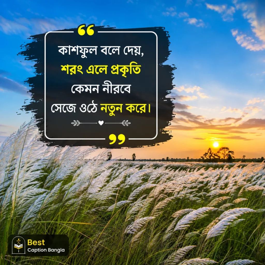কাশফুল নিয়ে ক্যাপশন