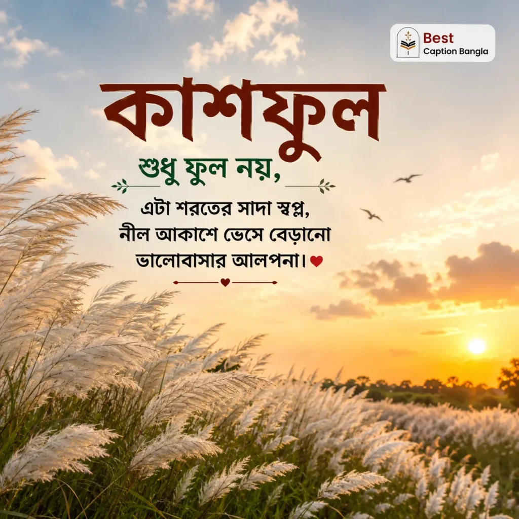 কাশফুল নিয়ে ক্যাপশন